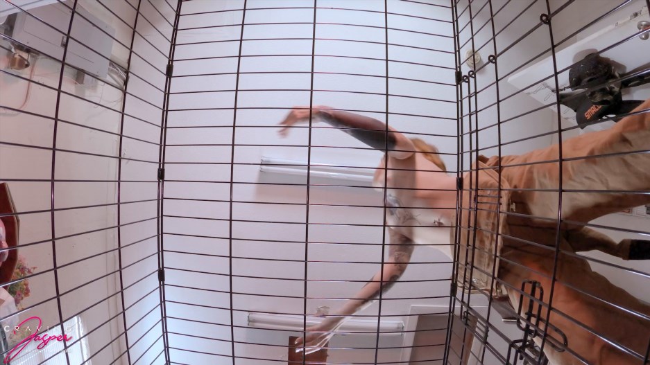 Jasper Reed – Caged and Emasculated POV – Humiliating FemDom Masturbation